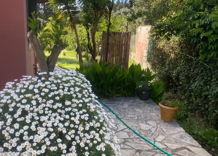 Casa Piccolino Paramonas (Corfu)